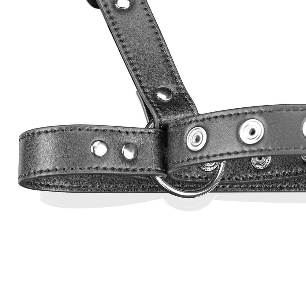 Nothosaur 【クー・フーリン】ペニスバンド ディルド固定用