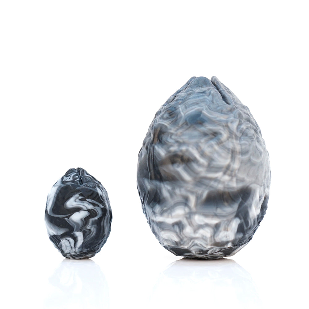 Nothosaur 大受精卵